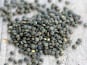 La Ferme des Ecureuils - Lentilles vertes Bio – 5000g