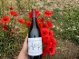 Domaine Céline Coté - Bourgogne Pinot Noir 2023