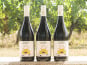 Domaine la Paganie - Vin rouge nature – Démarrage en COT –  3 bouteilles