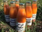 Délit de Gourmandise - Nectar d'Abricots Bio - 6x75cl