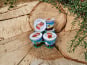 La Ferme de Labergement - Lot de 6 fromages blanc sur lit de fraise