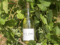 Domaine la Paganie - Vin blanc Bio - Petit blanc - 1 bouteilles