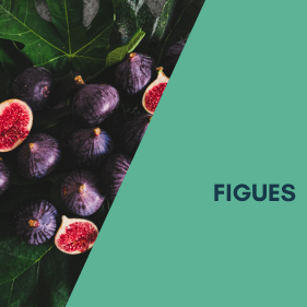 Fruits&#x20;et&#x20;L&#x00E9;gumes