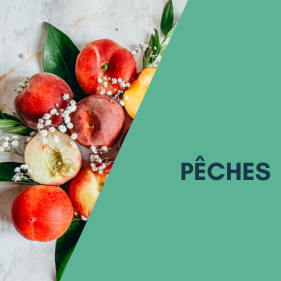 Fruits et Légumes