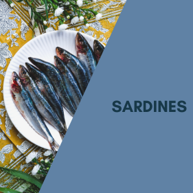 Poissons &amp; Fruits de mer