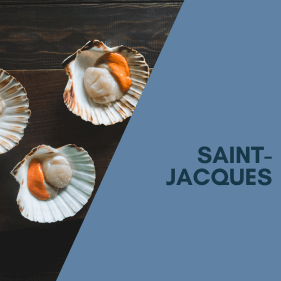 Poissons&#x20;&amp;&#x20;Fruits&#x20;de&#x20;mer
